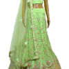 Green embroidered Lehenga choli with embellished dupatta