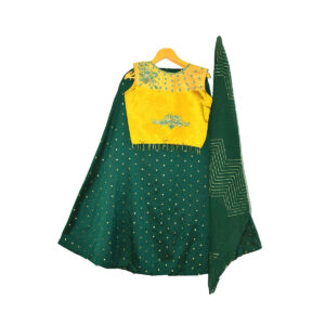 Green & Yellow embellished full stitched Lehenga & blouse with embellished dupatta