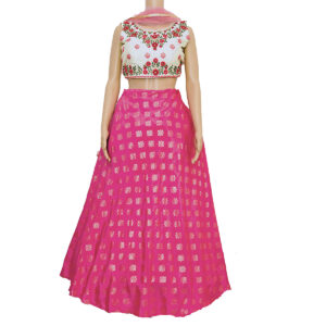 Pink & beige embellished full stitched Lehenga & blouse with net dupatta