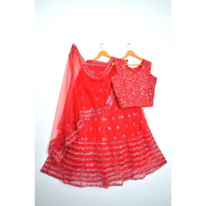 Red embellished full stitched mirror work Lehenga & blouse with embellished net dupatta